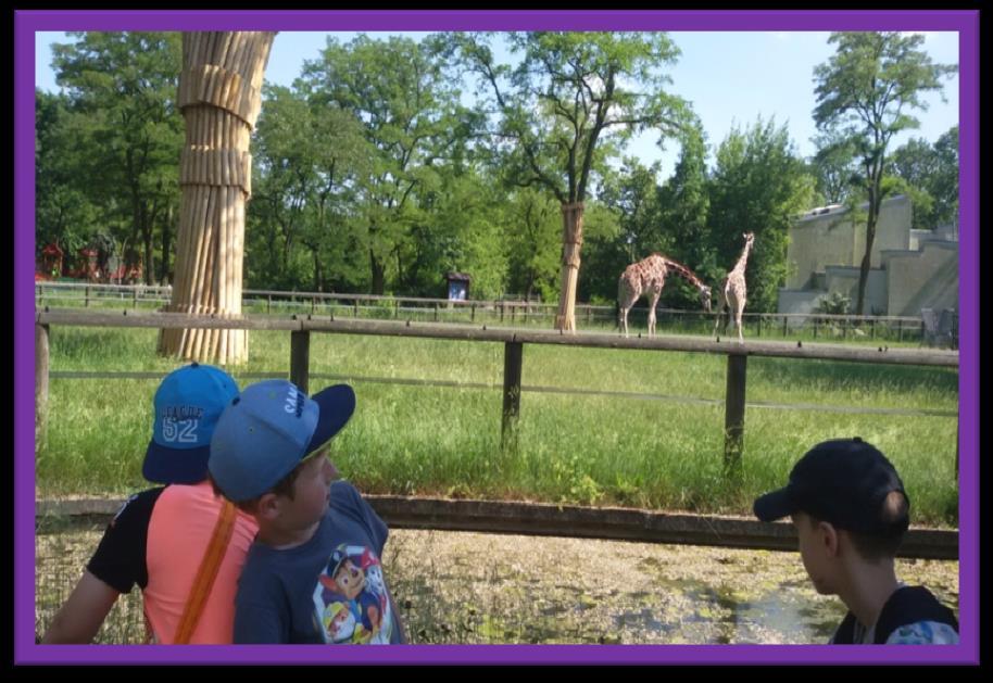 W ZOO