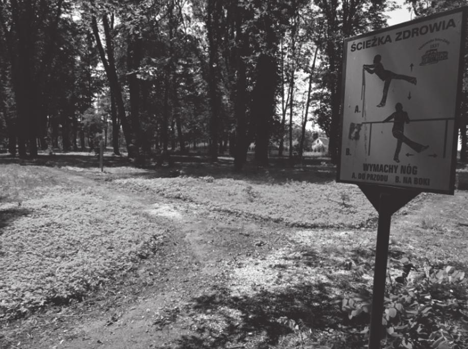 społeczno-gospodarczego, a tym samym poprawy jakości życia mieszkańców. Fot. 1. Nowy park zdrojowy w Busku-Zdroju Fot. 2. Park zdrojowy w So