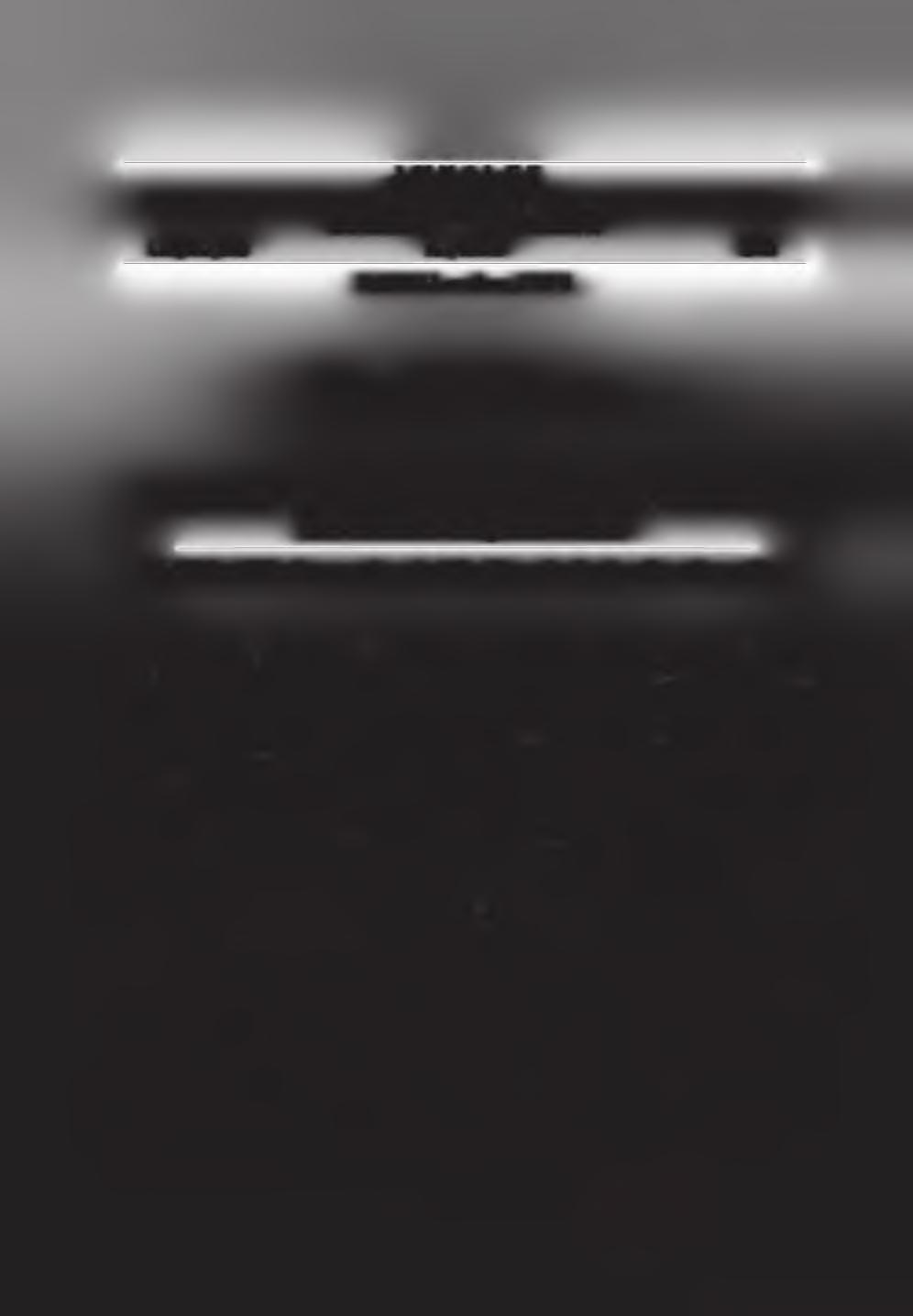 ANNALES U N IV ER SIT ATIS M ARIA E C U RI E - S K Ł O D O W S K A LU BLIN - PO LO N IA VOL.