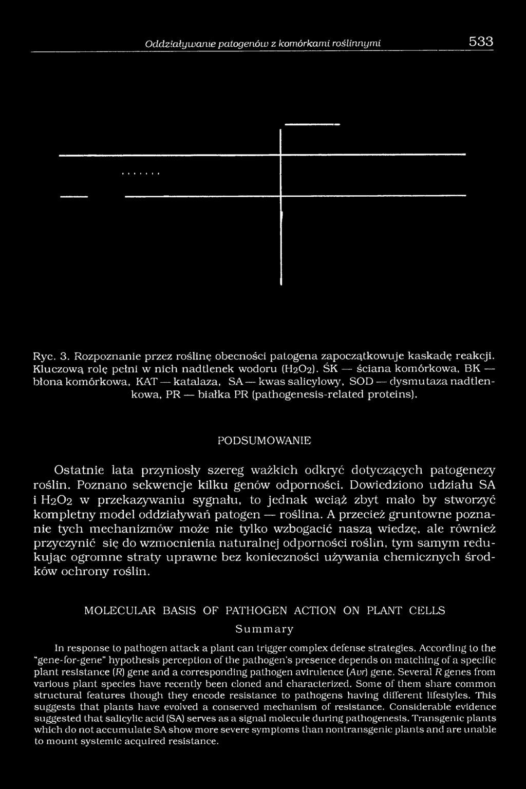 PODSUMOWANIE Ostatnie lata przyniosły szereg ważkich odkryć dotyczących patogenezy roślin. Poznano sekwencje kilku genów odporności.
