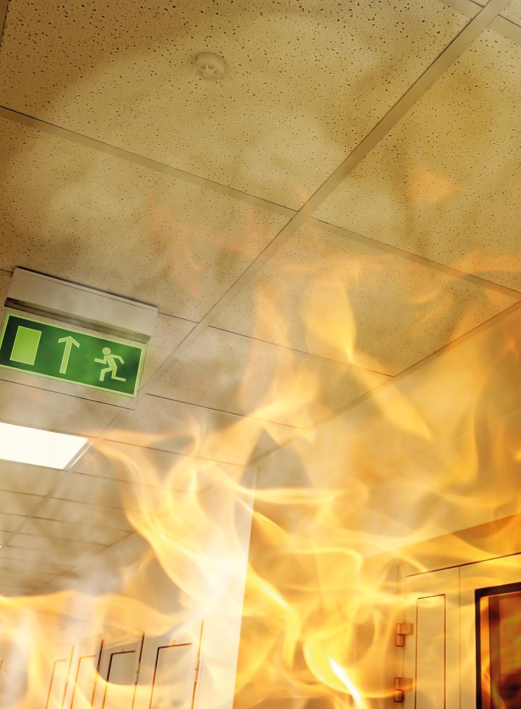 SYSTEMY FIREWIN PŁYTY VERMIBOARD 186 FARBY PĘCZNIEJĄCE FIREPAINT STEEL 186 TYNKI OGNIOCHRONNE