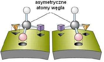 Wykład z