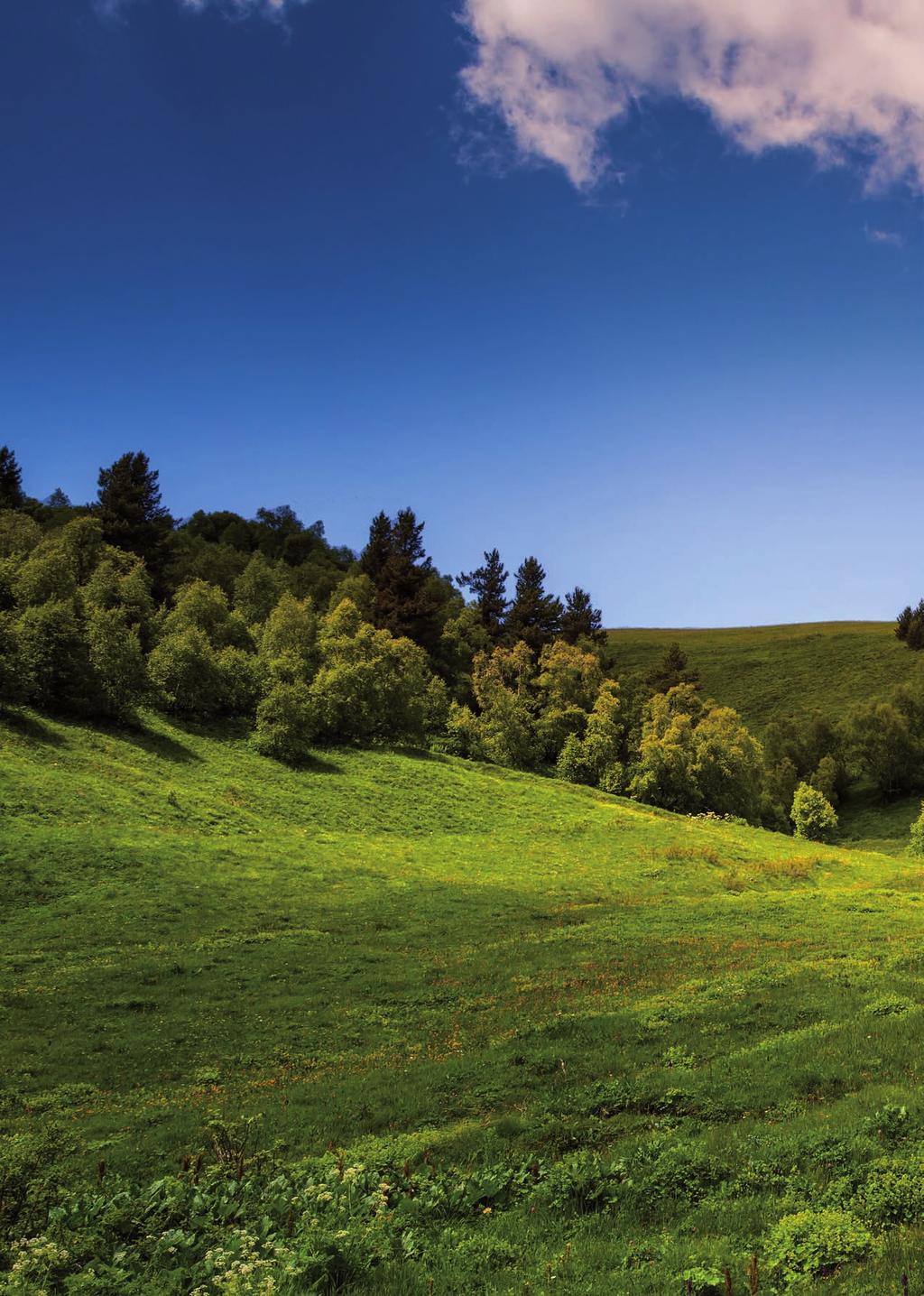 Ciao Green KOCIOŁ KONDENSACYJNY NA KAŻDĄ KIESZEŃ!