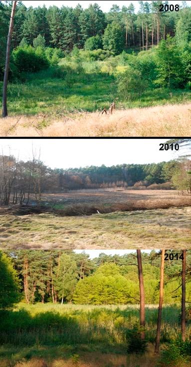 Przegląd Przyrodniczy XXVII, 4 (2016) Fot. 2. Widok na transekt F w rezerwacie Dolina Ilanki (fot.