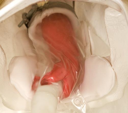 EKO-KURSY to nowa jakość szkoleń inseminacyjnych: bezpieczne i intensywne ćwiczenia praktyczne na nowoczesnych fantomach, kursy organizowane w terenie.