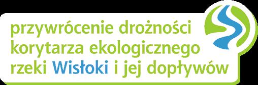 " Stan zaawansowania prac w zakresie częściowego odtworzenia żwirowych siedlisk dla