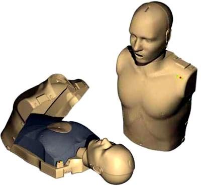 W manekinie Little Anne AED uwzględniono wszystkie niezbędne elementy, aby zapewnić odpowiednią jakość szkolenia. Stanowi on odzwierciedlenie fizjologii i anatomii przeciętnej osoby.