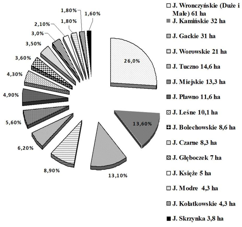 River channel retention in the Zielomka Forest and its environment Rys. 6.