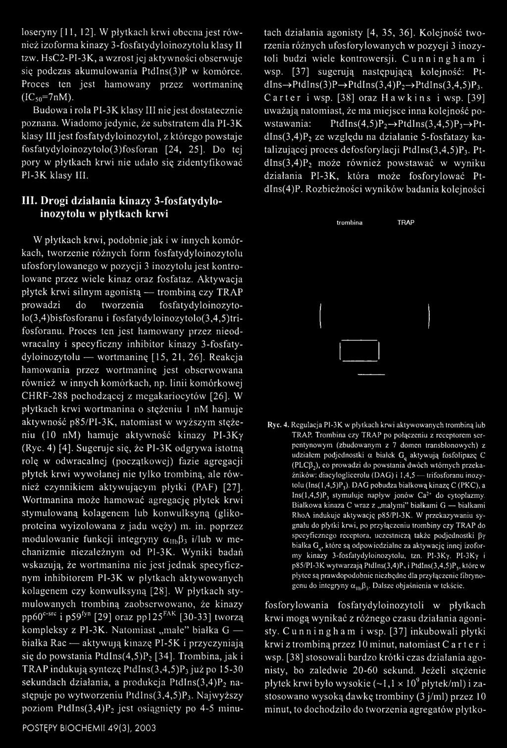 Wiadomo jedynie, że substratem dla PI-3K klasy III jest fosfatydyloinozytol, z którego powstaje fosfatydyloinozytolo(3)fosforan [24, 25].