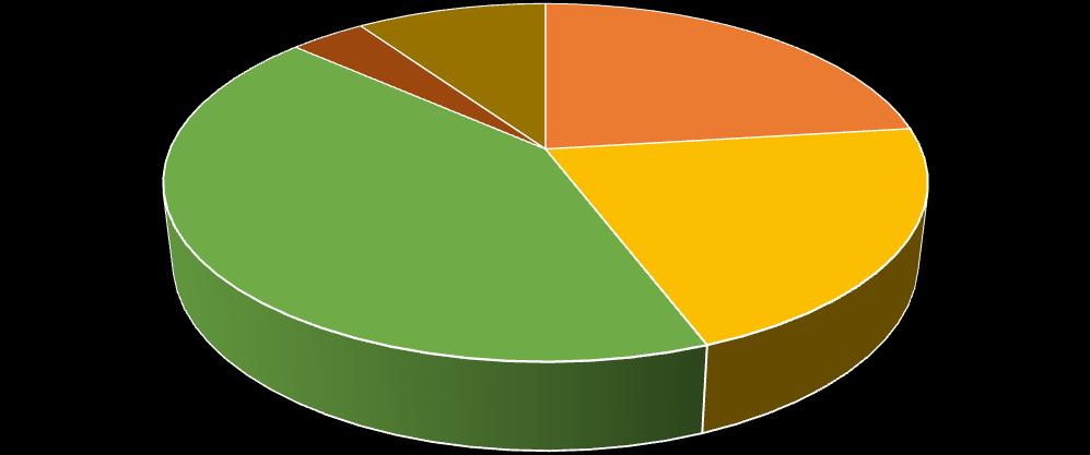 3,85% 9,62% 23,08% 42,31% 21,15% systemowe gazowe węglowe elektryczne biomasa Źródło: Wywiady bezpośrednie przeprowadzone z mieszkańcami miasta i gminy Drezdenko.