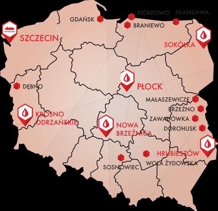 przewoźników, którzy charakteryzują się dużym