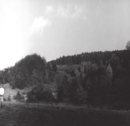 Ryc. 3. Zarastanie wysuniętych w głąb lasu łąk powoduje zmniejszenie rozczłonkowania powierzchni leśnej Fig. 3. The overgrowing of meadows jutting out into the forest decreases the degree of segmentation of the forest area.