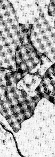 184 Maria Witek, Waldemar Witek drogi dojazdowej do stacji kolejowej. W owym czasie po południowej stronie wsi założono cmentarz śródpolny.