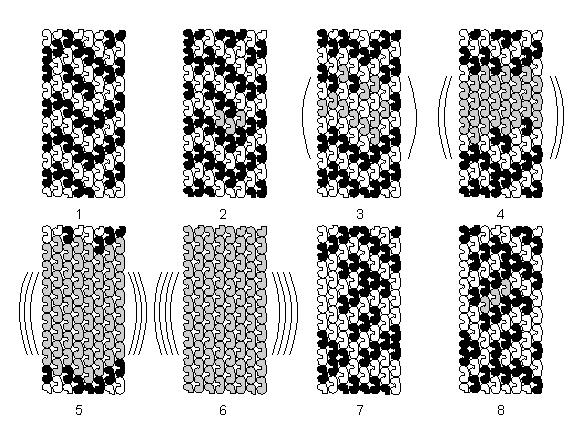 Figure 4. Schematic model of tubulin states.