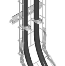 Korytk Sitkowe 35-1 1.