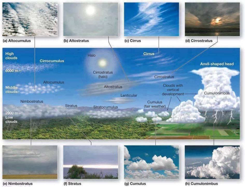 Cumulonimbus zjawiska niebezpieczne Potężna chmura o dużej rozciągłości pionowej w kształcie gór lub wielkich wież, często kowadła.