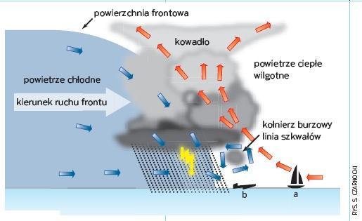 Górna część chmury jest niekiedy połączona z chmurami altostratus i nimbostratus. U dołu występować mogą zwisające wypukłości (tzw. mamma) i smugi opadów deszczu (tzw. virga).