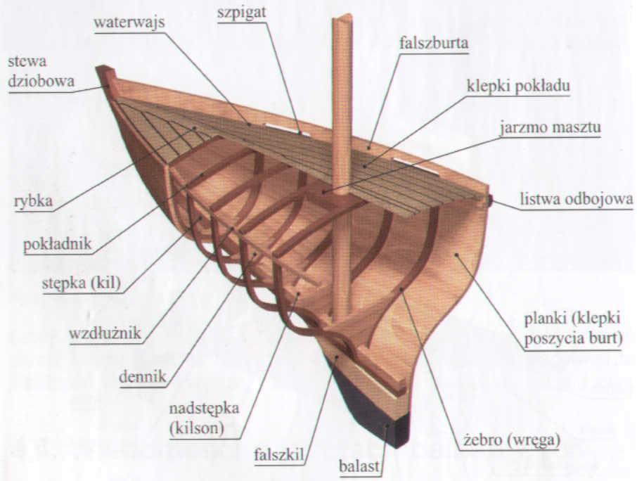 Podporą pod poszycie stanowią wręgi (żebra) oraz wzdłużniki. Elementy na których leży płaszczyzna pokładu i półpokładów to odpowiednio pokładniki i półpokładniki.