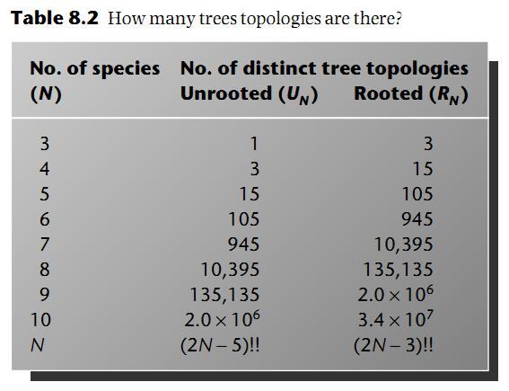 Przestrzeo drzew dla danego zbioru sekwencji Wszystkie możliwe drzewa o różnej topologii, które można