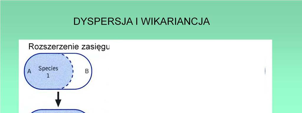 Zasięg gatunku może się zwiększać (bez pokonywania specjalnych barier; populacja jest nadal homogenna).
