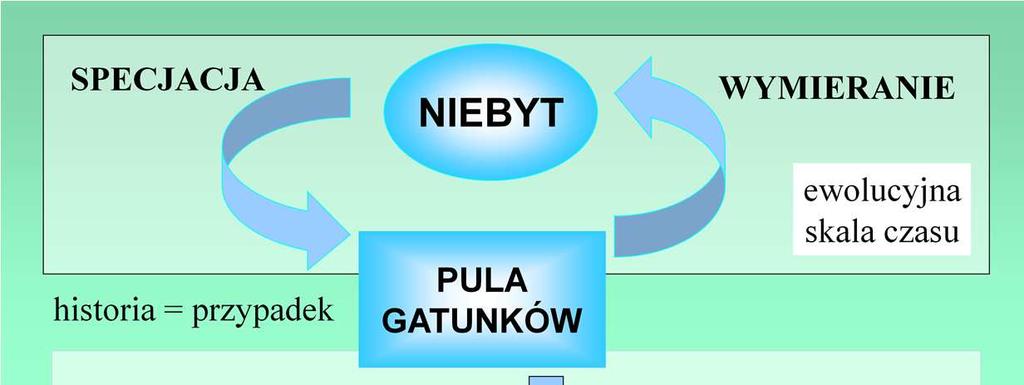 Ograniczenia środowiskowe nie budzą wielu kontrowersji, co nie znaczy że rozumiemy do końca