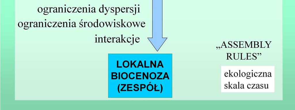 Wiadomo, że ściśle powiązane z zagadnieniem interakcji kompetencje konkurencyjne zależą od