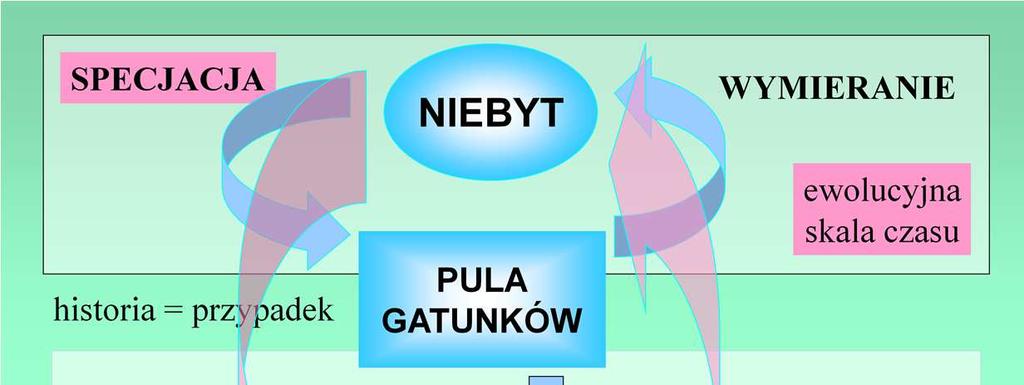 Ograniczenia środowiskowe nie budzą wielu kontrowersji, co nie znaczy że rozumiemy do końca