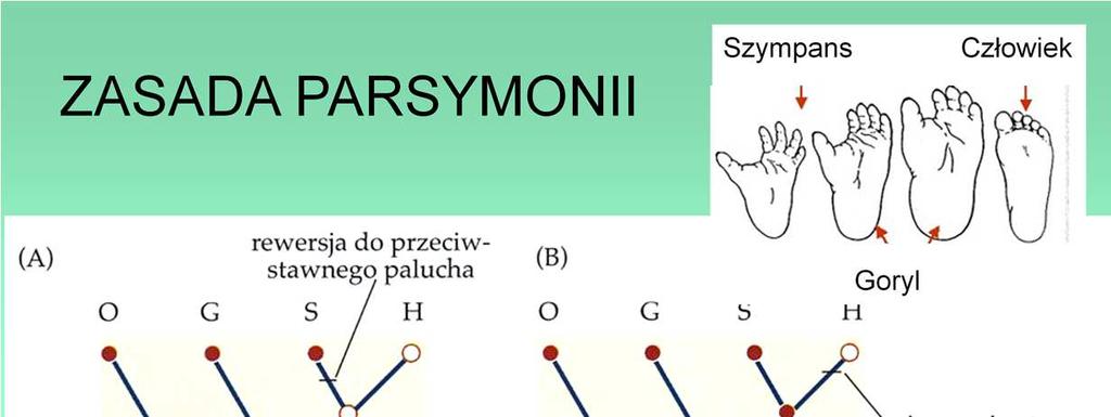 Jednym z kryteriów wyboru najbardziej