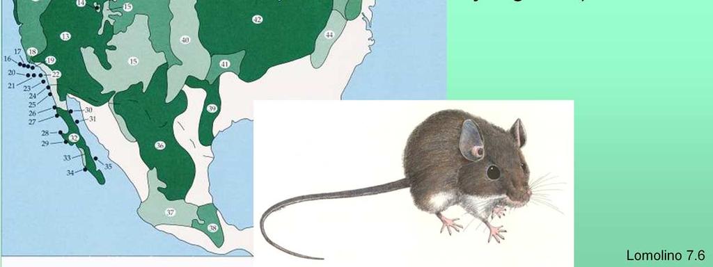 niekoniecznie się zgadza z