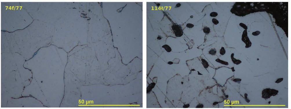 The knifes from the Cathedral Island: the microscopic images of non-metallic inclusions in the cutting-edge (500x magnification) Ryc. 4.