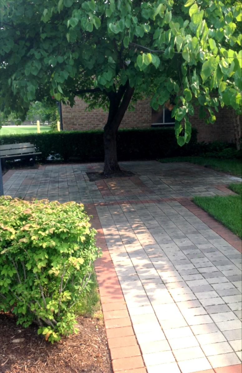 "Lasting Impressions of St Thomas Becket By purchasing a brick or two, you are creating a lasting remembrance for your family and a symbol of support for our family, St. Thomas Becket Parish.