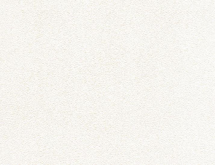 VINYLE / DECOR PAPIER sur panneau de plâtre WINYL na płycie gipsowo-kartonowej VINYL coated plasterboard VINYL op gipsplaat Vinylbeschichtete Gipskartonplatten 3000 x 1200 mm / 2600 x 1200 mm VBG DPG