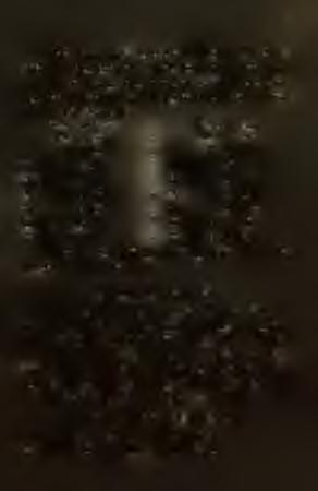 de la patroj 3. al la patroj 4. la patron 4. la patrojn 5. patro! 5. patroj! 6. per la patro 7. en la patro Według powyższego 6. per la patroj 7. en la patroj.