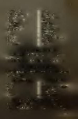 dzisiaj baldau wkrótce, wnet ofte często CU CZJ' Druga lekcya. Dua leciono. Gramatyka: Zaimki osobowe i dzierżawcze! Apostrof.