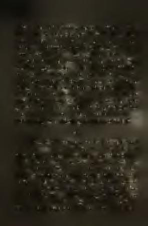 La frateto estis banota de sia granda fratino en la banejo, sed car, la vetero estas tre varma hodiaii, li estos banata de śi sur la larga balkono, apud la dormoćambro.