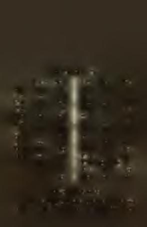 1 lo C c c co M m rn mo Ć ć cz ćo N n n no D d d do 0 o 0 0 E e e e P