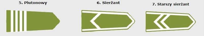 fizyczną; - średnią ocen na świadectwie ukończenia gimnazjum; - aktywność sportową; - predyspozycje przywódcze. 2. Dowódca i jego zastępca otrzymuje stopień starszego szeregowego. 3.