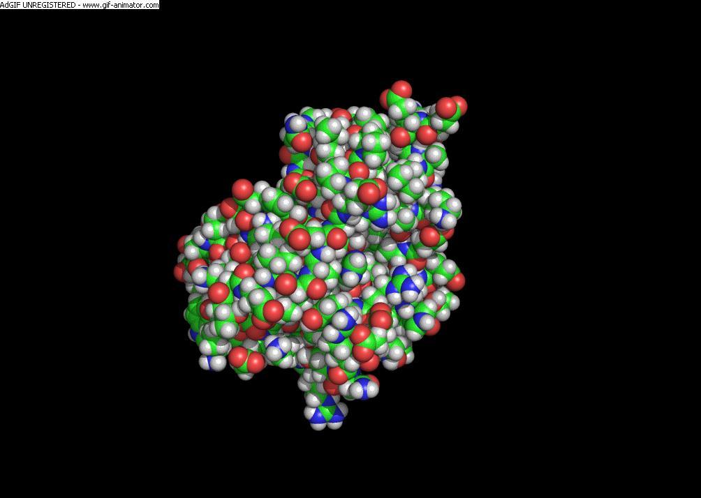 ~1000 atomów 14