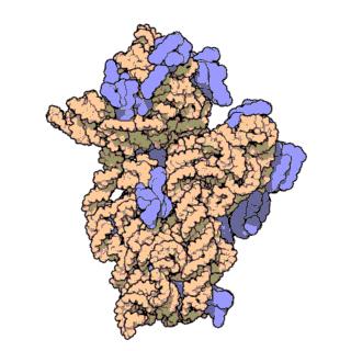 it is found by MRC Laboratory of Molecular Biology in Cambridge, England.
