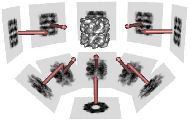 2D class averages are used in 3D model reconstruction