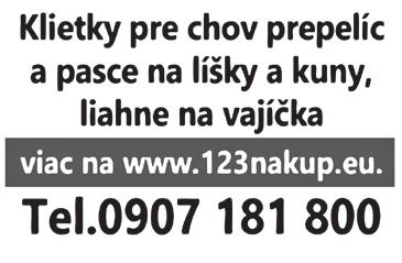 Infoservis TD 9/2018 15 Krakov - Košice STANICA / SPOJ LEM4201 LEM4203 LEM4205 Kraków, dw. aut.