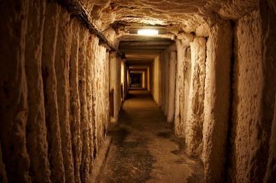 ZADANIA DO ZAJĘĆ ZADANIE 1 Dopasuj wyrazy do obrazków. Następnie wstaw wyrazy do tekstu.