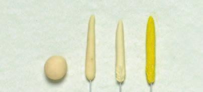 Kalia (Dostojne piękno) Rodzaj: Zantedeschia 36 Kaskada z kalii Materiały Lakier spożywczy SK Klej spożywczy SK Barwnik w proszku SK: jasnożółty pyłek, ciemnozielony, zieleń liści Lukier plastyczny