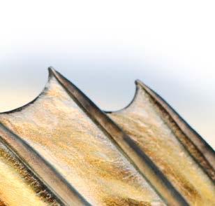 Kiwający się ogon zawiera prawdziwą szklaną grzechotkę, która doprowadza ryby do szału dzięki hałasowi, jaki generuje podczas holowania przynęty.