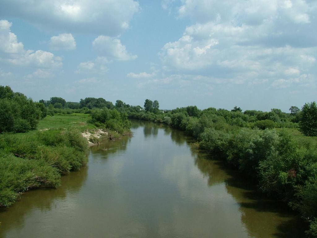 WODY POWIERZCHNIOWE Stanowisko badawcze dla potrzeb oceny stanu JCWP Wisłoka od