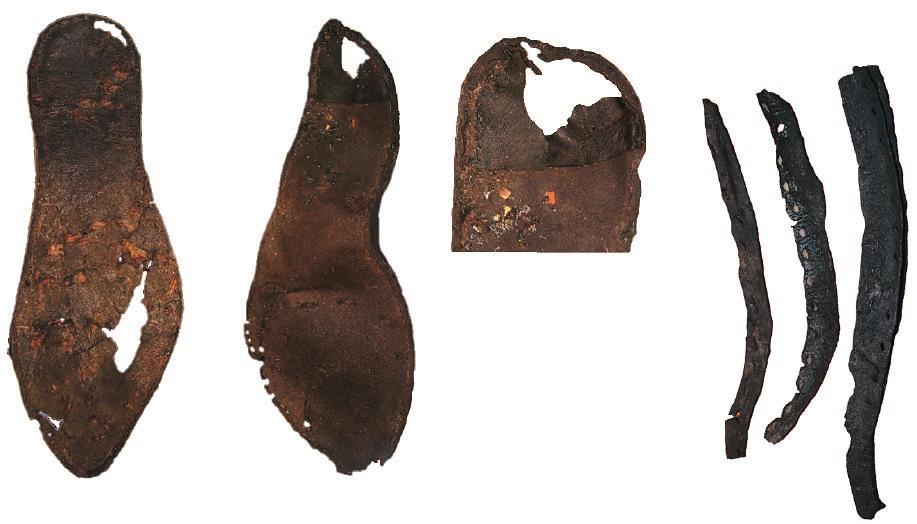 Ryc. 4. Ujście.