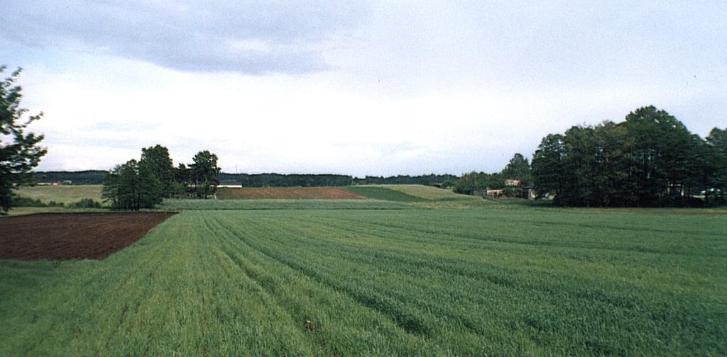 dróg do transportu samochodowego. W miejscu zagłębień powstawały nasypy, a we wzniesieniach wykopy (Koter, Liszewski, Suliborski 1999).
