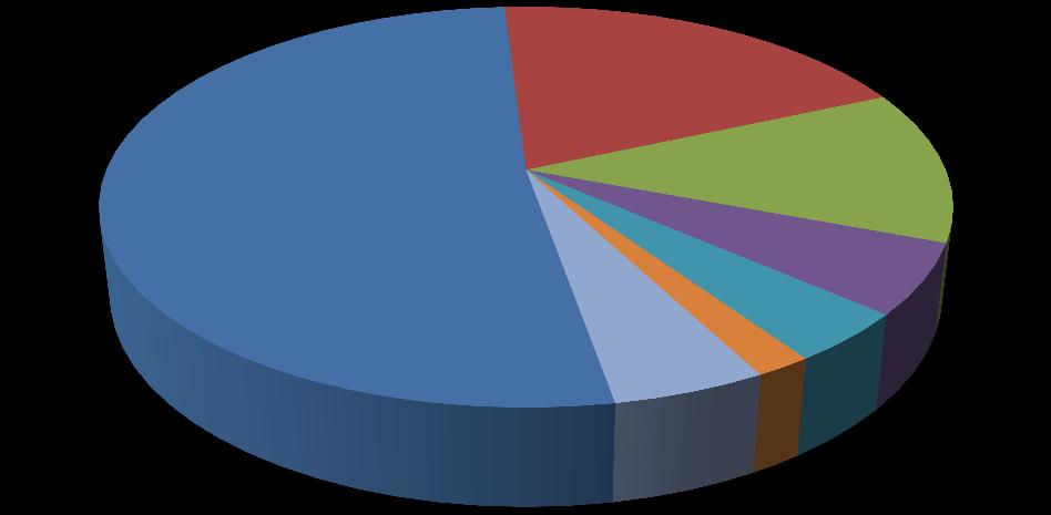 Struktura kosztów wynagrodzenia i pochodne 52% materiały medyczne i leki 19% usługi obce 12% amortyzacja 6% pozostałe materiały i energia koszty finansowe 4% 2% pozostałe 5% Koszty wynagrodzeń wraz z