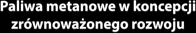 Paweł Bukrejewski Przemysłowy Instytut Motoryzacji Zastępca Kierownika Laboratorium