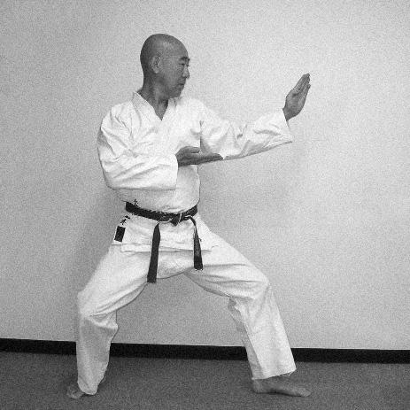 238 KAZUYUKI FUNATSU with a diagonal stance. Naturally we should take Namba so as not to cut off our own foreleg (Photo#7).